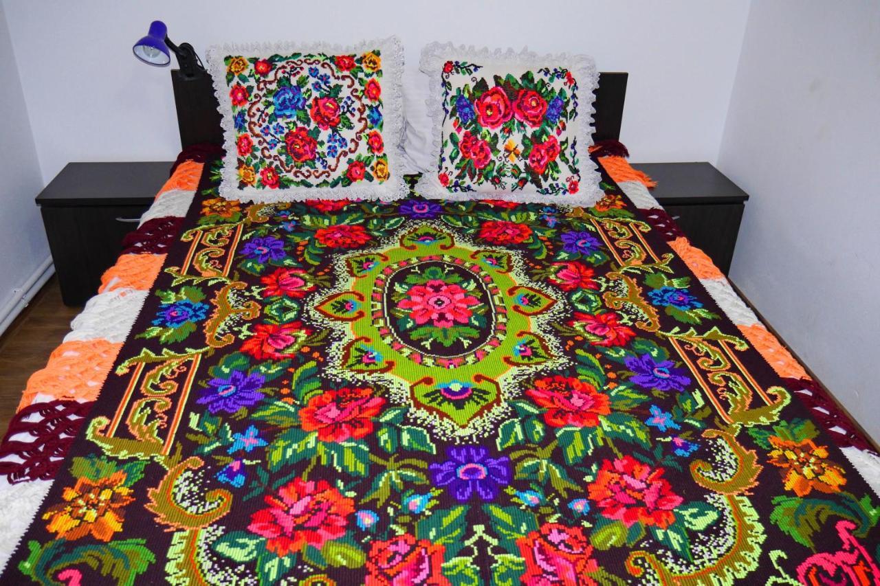 Floare De Colt 호텔 Berbesti 외부 사진