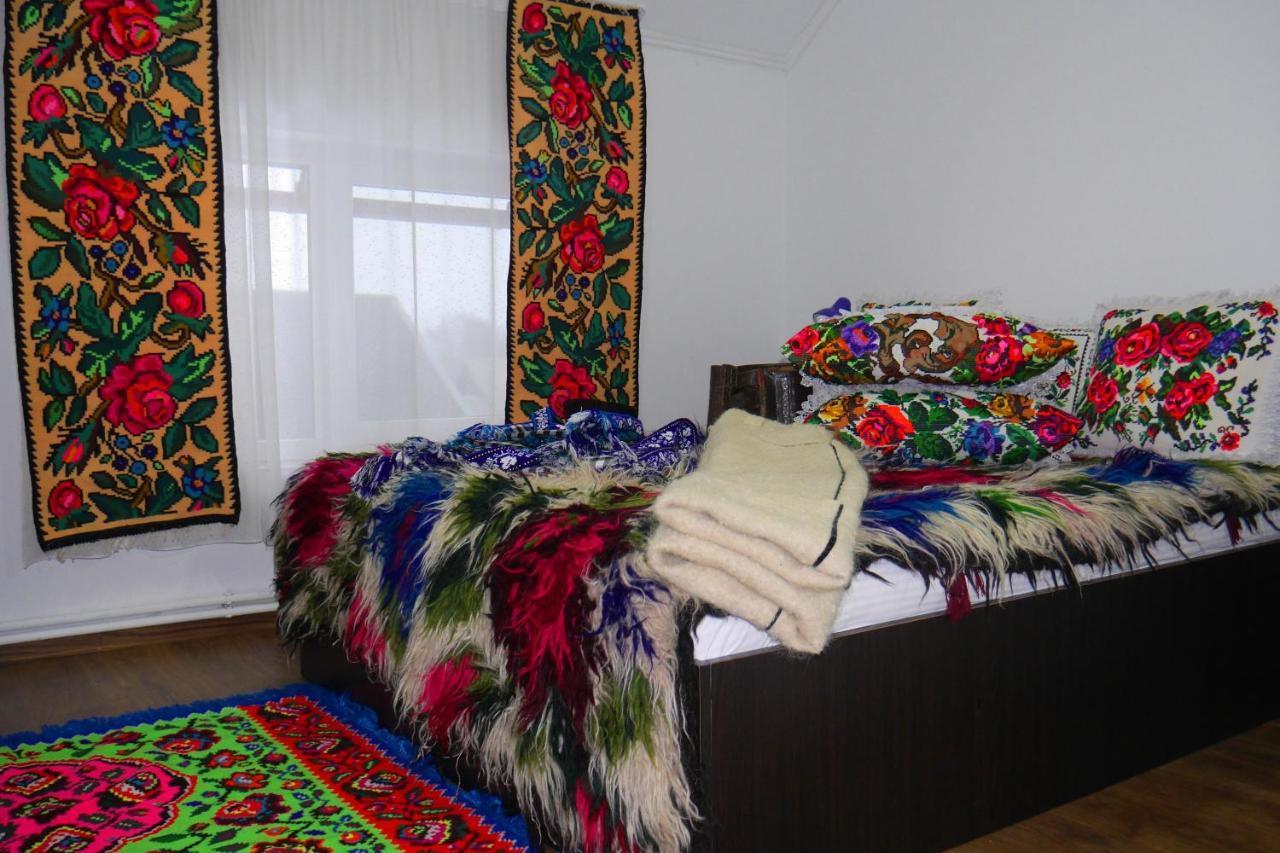 Floare De Colt 호텔 Berbesti 외부 사진